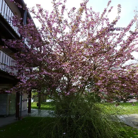 Hotel Balladins Mulhouse Euroairport Bartenheim